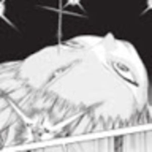 Meet your Posher, Shelby